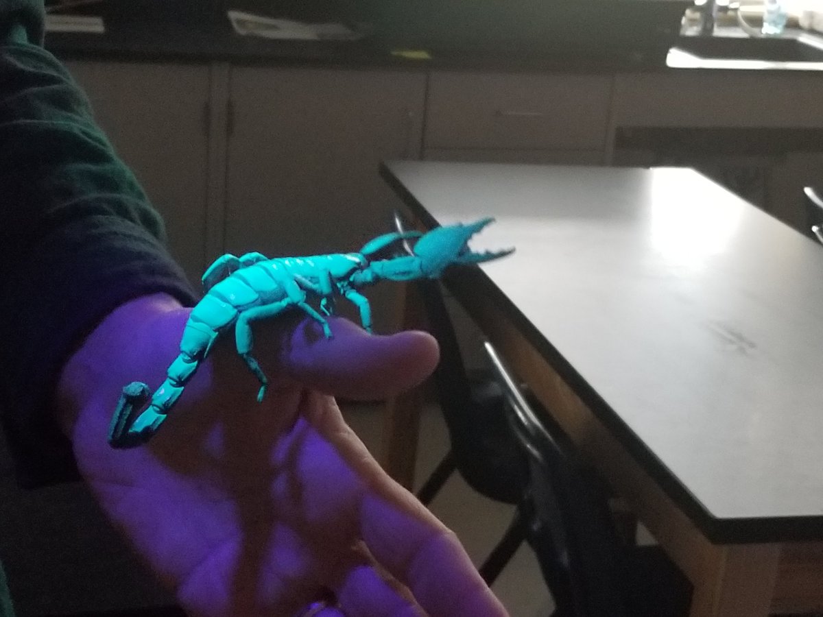 Vicki Thompson tweet media