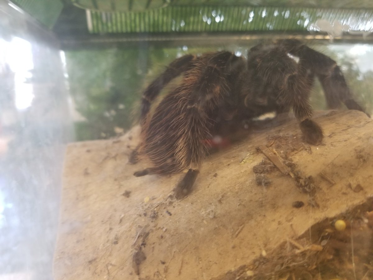 Vicki Thompson tweet media