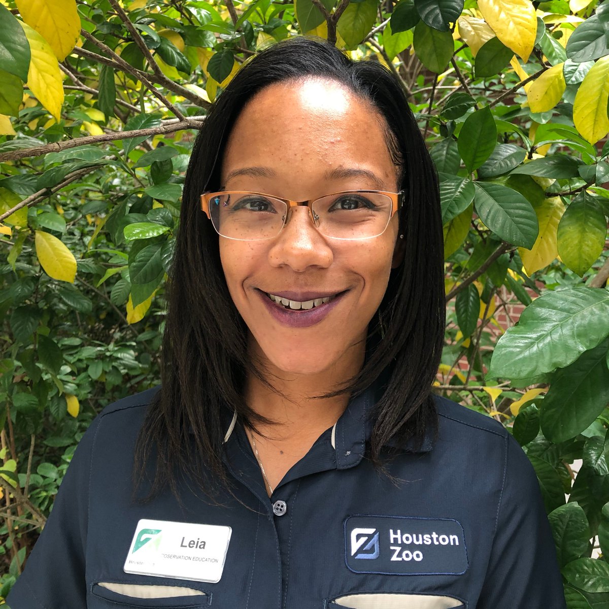 houstonzoo's tweet photo. Meet Leia Cook, who is our Early Childhood Programs Coordinator. She develops and implements programs for our youngest learners and their favorite adults. #IZEDay2019 #IZEducators 1/2 https://t.co/uSq8Vq23TE