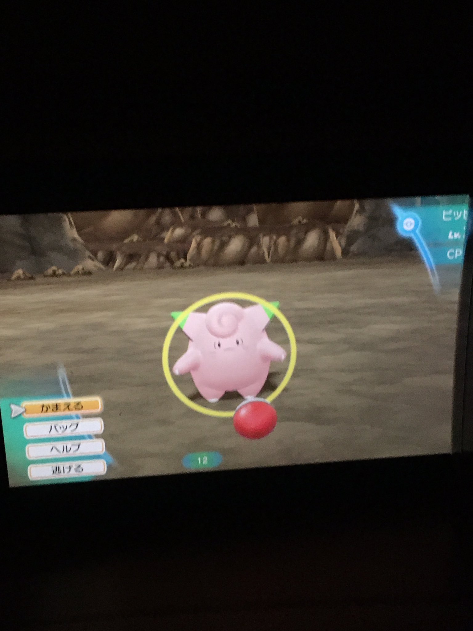 モリヤ ガオラー おはようございます 起きたら新ポケモンめちゃくちゃ増えとってバリバリネタバレされました 今からゲオ行きます 実は夜うずうずしてピカブイやったら天使が迎えてくれた ポケモン剣盾 ピカブイ ピッピ 色違い