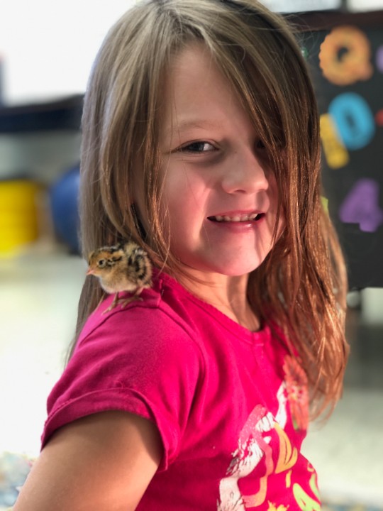 Independence Academy tweet media