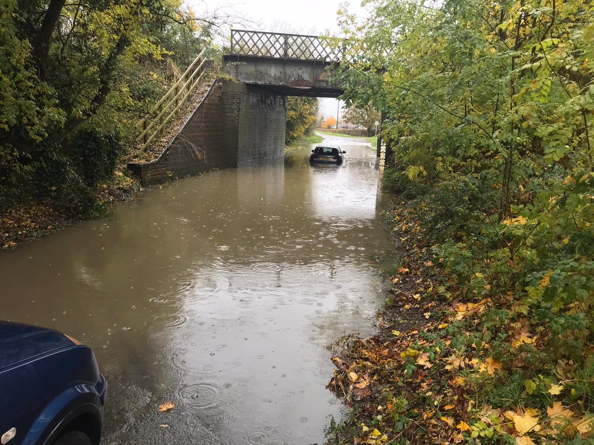 Alison Harbon tweet media