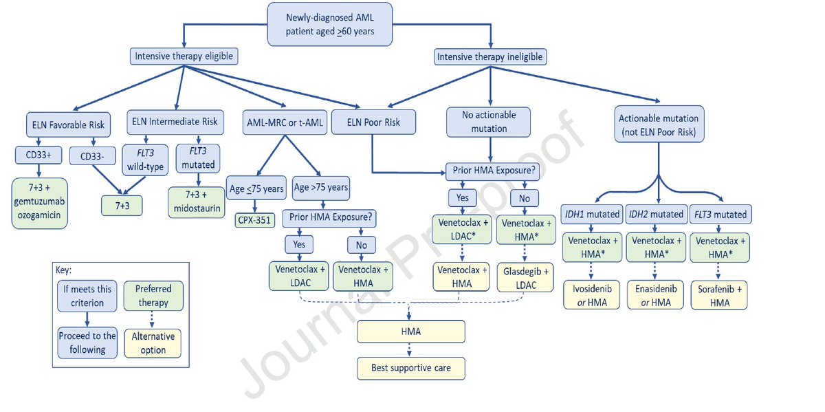 smbenlazar's tweet photo. @Dr_AmerZeidan Proposed optimal approach to the treatment of the newly-diagnosed acute myeloid leukemia patient aged >60 years. https://t.co/pgOfaxynwm