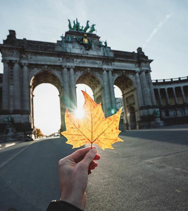 seemybrussels's tweet photo. Turn over a new leaf 🍁 #seemybrussels ***
#️⃣ Created by @smarksthespots
📷 Photo by @bendevvoeght
***
#brussels #bruxelles #brussel #belgium #belgique #belgië #belgie #prettycities #🇧🇪 #city_explore #brusel #bxl #belgique🇧🇪 #bxlove #bruselas #ig_belg… https://t.co/ogi8LDcRq3 https://t.co/L5w46Lp9LU