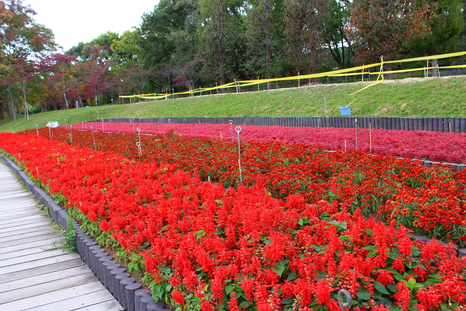 See Nagaib S Tweet Twitter