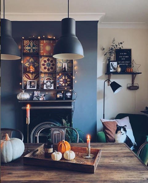 getlooksyapp's tweet photo. The purrrfect place for brunch 😻 What is your fav breakfast food? PC: northernstyling
#brunchtime #livingroomgoals #homeinspo #interiordesign https://t.co/kiGJQ7dLRW