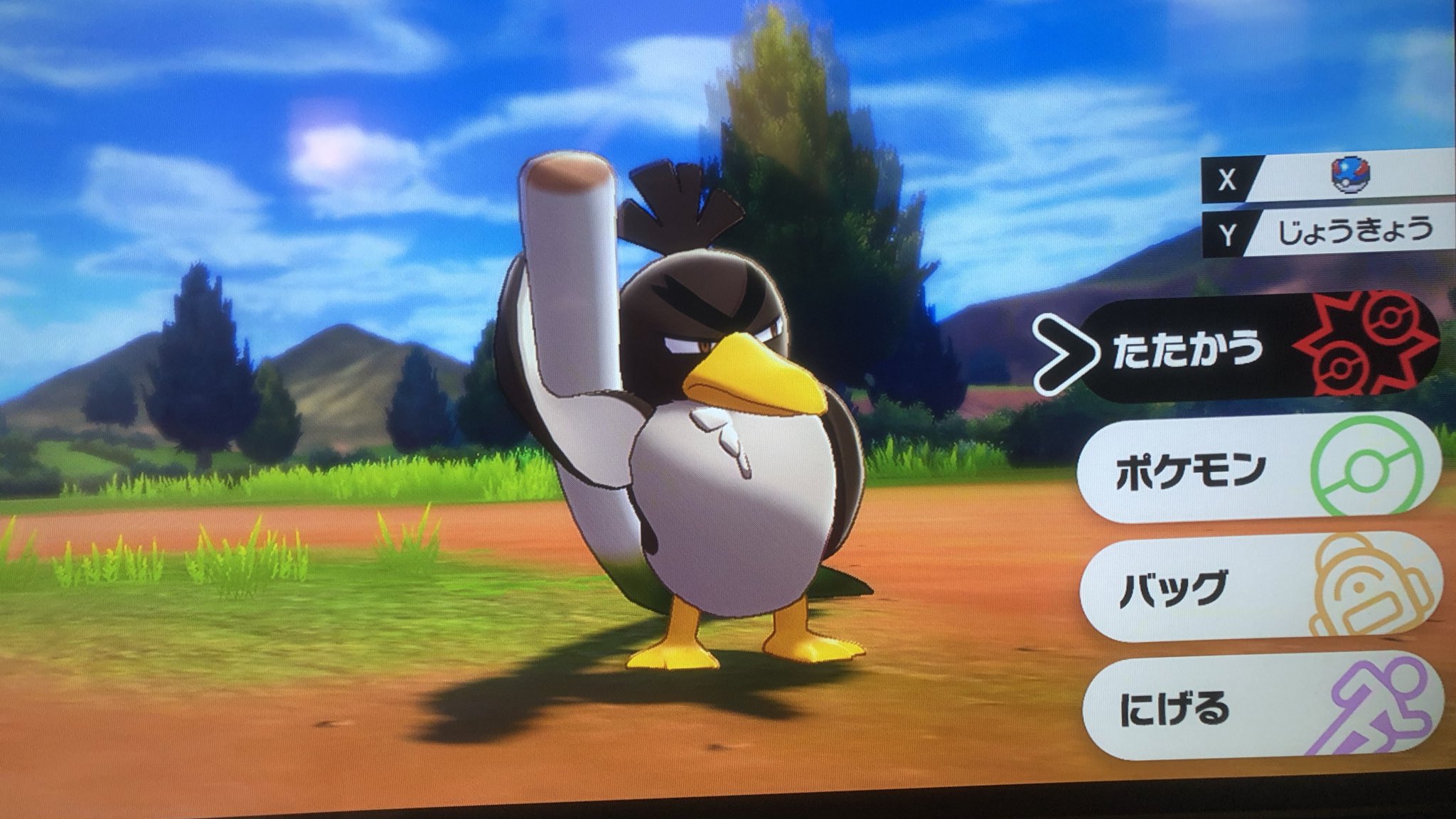 つるおか かものはし 結局朝までやっちまった ポケモン最高や カモネギ可愛すぎる つるおか かものはし 結局朝までやっちまった ポケモン最高や カモネギ可愛すぎる