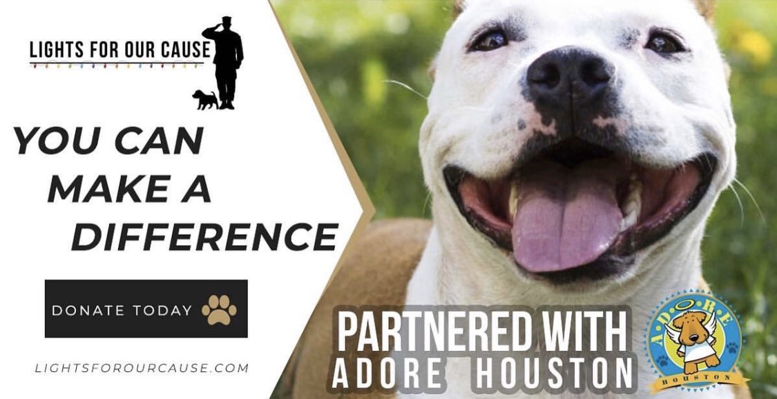 ADORE Houston tweet media