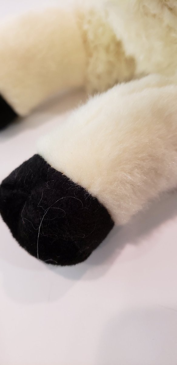 He'll be here in a little over two weeks.