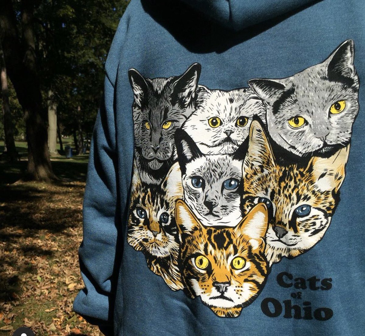 HmaxwellART's tweet photo. My #1 item on my Christmas List this year!! #meowyouknowimonlykidding #oscarismyonlycat #hesfake https://t.co/OWwsQEOcXb