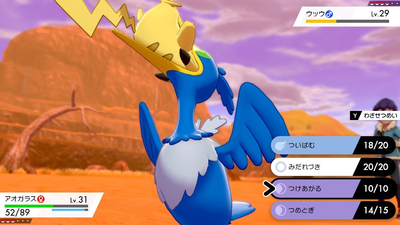 ときっビルド ウッウが底確率でピカチュウをくわえて帰って来るの聞いて笑ってる 真顔 ときっビルド ウッウが底確率でピカチュウをくわえて帰って来るの聞いて笑ってる 真顔