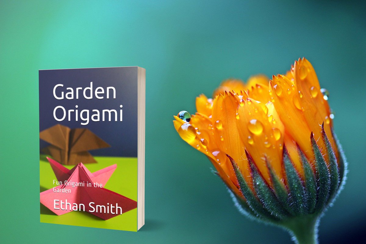 PFFOrigami's tweet image. Take a walk through the garden with Garden Origami available on amazon.com!
amazon.com/Garden-Origami…