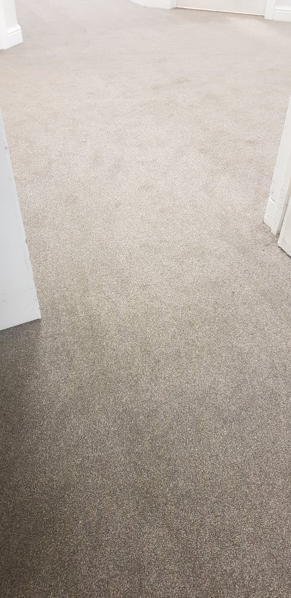unlimitedfloors's tweet photo. Installing plenty of healthcare carpet in aylsbury, all held in place with @ARDEXUKFlooring AF325 carpet adhesive. Impressive grab and no odour....great for these sensitive enviroments
#healthcare #flooring #carpets #mha #danfloor #aylsbury https://t.co/htSKbqFpl4