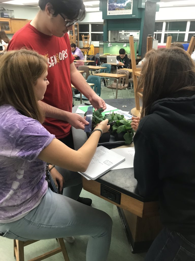 HJ_killian's tweet photo. @HJ_killian @GrowBeyondEarth Measuring on harvest day. Will mass total and edible mass. Spinach tolerates dry condition best. Pac choi not so much. https://t.co/iINhGZRlM1