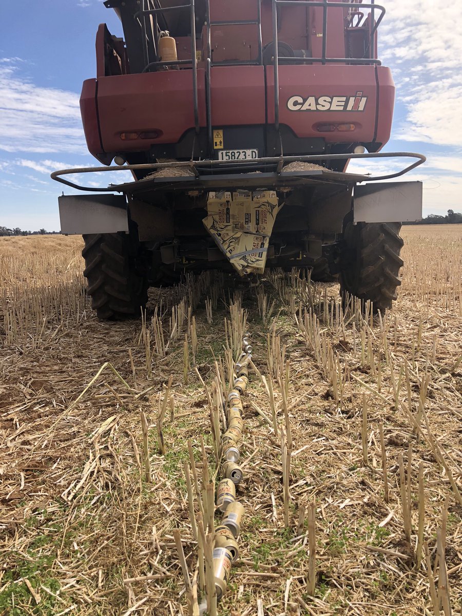 Just installed the patented #gullieagbureau chafflining kit. Can be retrofitted to all old gleaners/deutz and most newer models. Unsure of #hwsc efficacy, but certainly doing its job concentrating the aluminium <a href="/peterdnewman/">Peter Newman</a> <a href="/180YieldFailure/">180 Yield Failure</a> <a href="/quambyag/">Sandy Day</a>