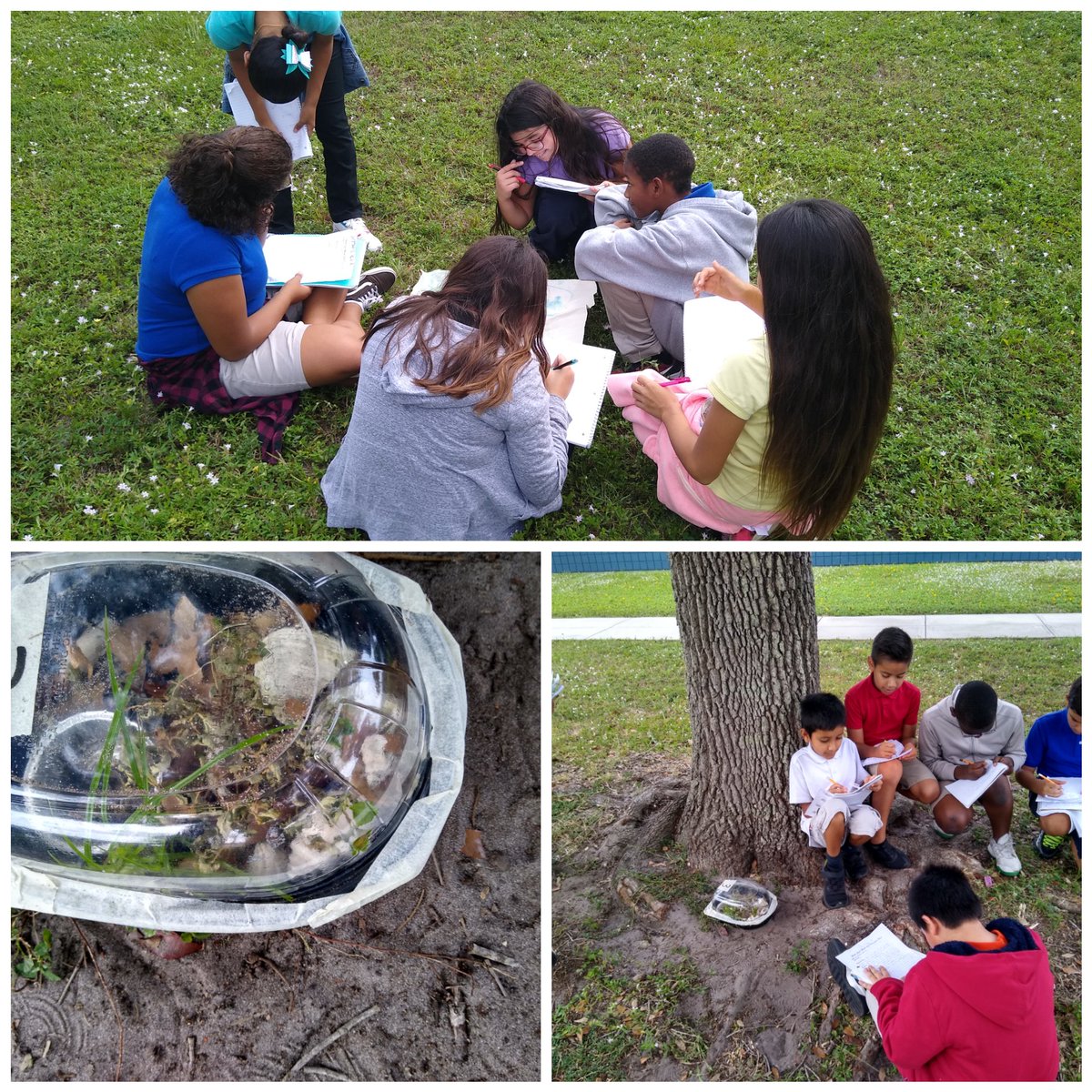 MirrorLakesElem's tweet image. Building and observing a full-scale water cycle model. #beyondtheworksheet