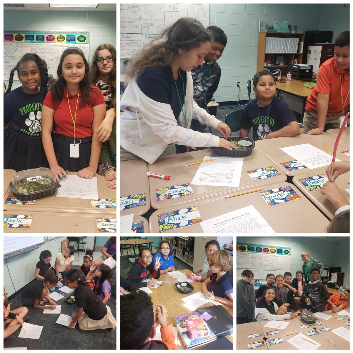 MirrorLakesElem's tweet image. Building and observing a full-scale water cycle model. #beyondtheworksheet