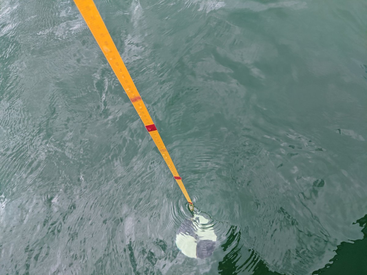 #GISday found us (colleagues from <a href="/UAHuntsville/">University of Alabama in Huntsville (UAH)</a>, <a href="/WCSBelize/">Wildlife Conservation Society Belize</a>, and <a href="/CZMAIBelize/">Coastal Zone Management Authority & Institute BZ</a>) out in "the field" in #Belize (mainly out at sea) collecting water quality data for calibration activities related to our #BZSDG project - one of various <a href="/EO4SDG/">EO4SDG Initiative</a> projects that <a href="/NASA/">NASA</a> is funding. 🗺️