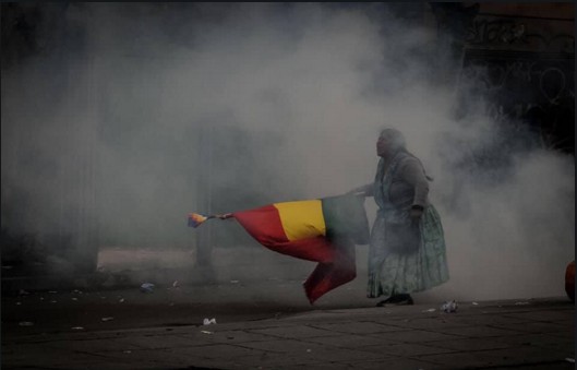 Protoconcha tweet media