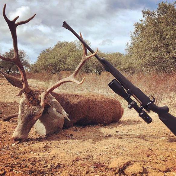 Mauser_USA's tweet photo. Success with the MAUSER. Congratulations @armandotarantella! 

photo via @excopesa
#mauser12 #mauserusa #huntingrifle #Mauser #happyhunting #hunting https://t.co/pwPE3V3Xa6