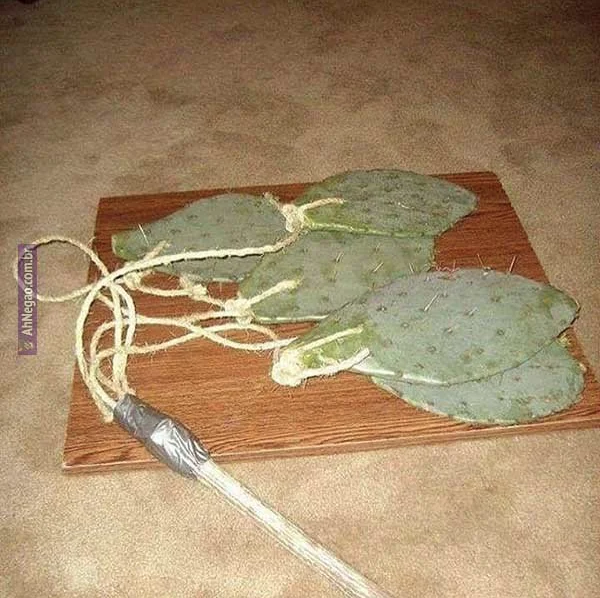 Cursed BDSM.