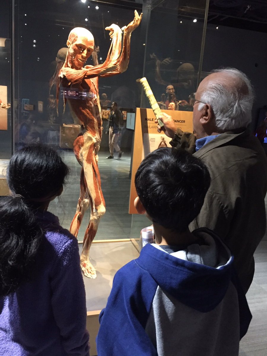 PaloVerdeElem's tweet image. 5th graders had an imaginative and immersive learning experience at #theTechInteractive today!