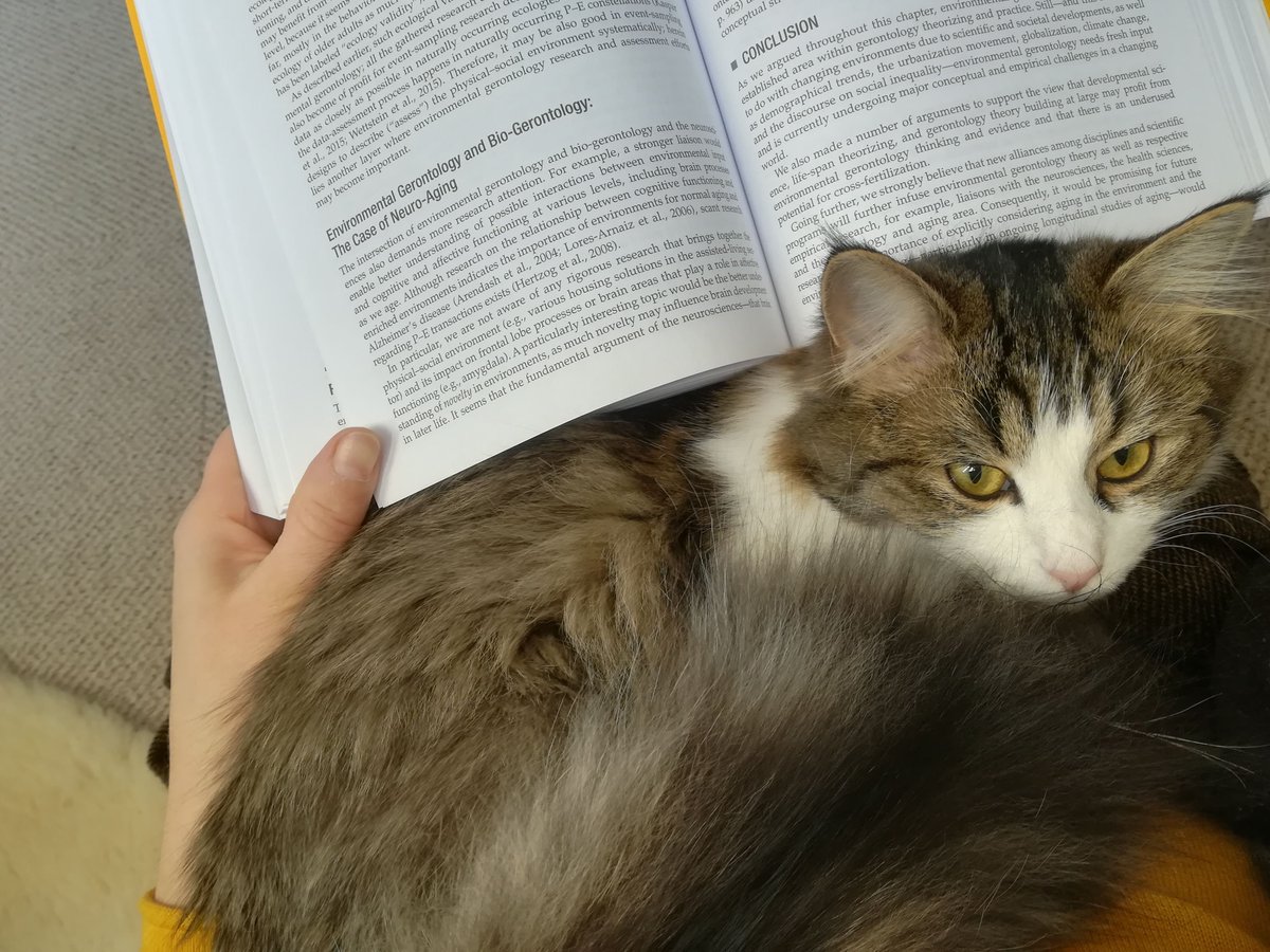 AnamariaDepner's tweet photo. When you have to work in the evening and the cat is your faithful companion....and also wants to sit in the cosiest place in the flat. https://t.co/vuRlAH57hf