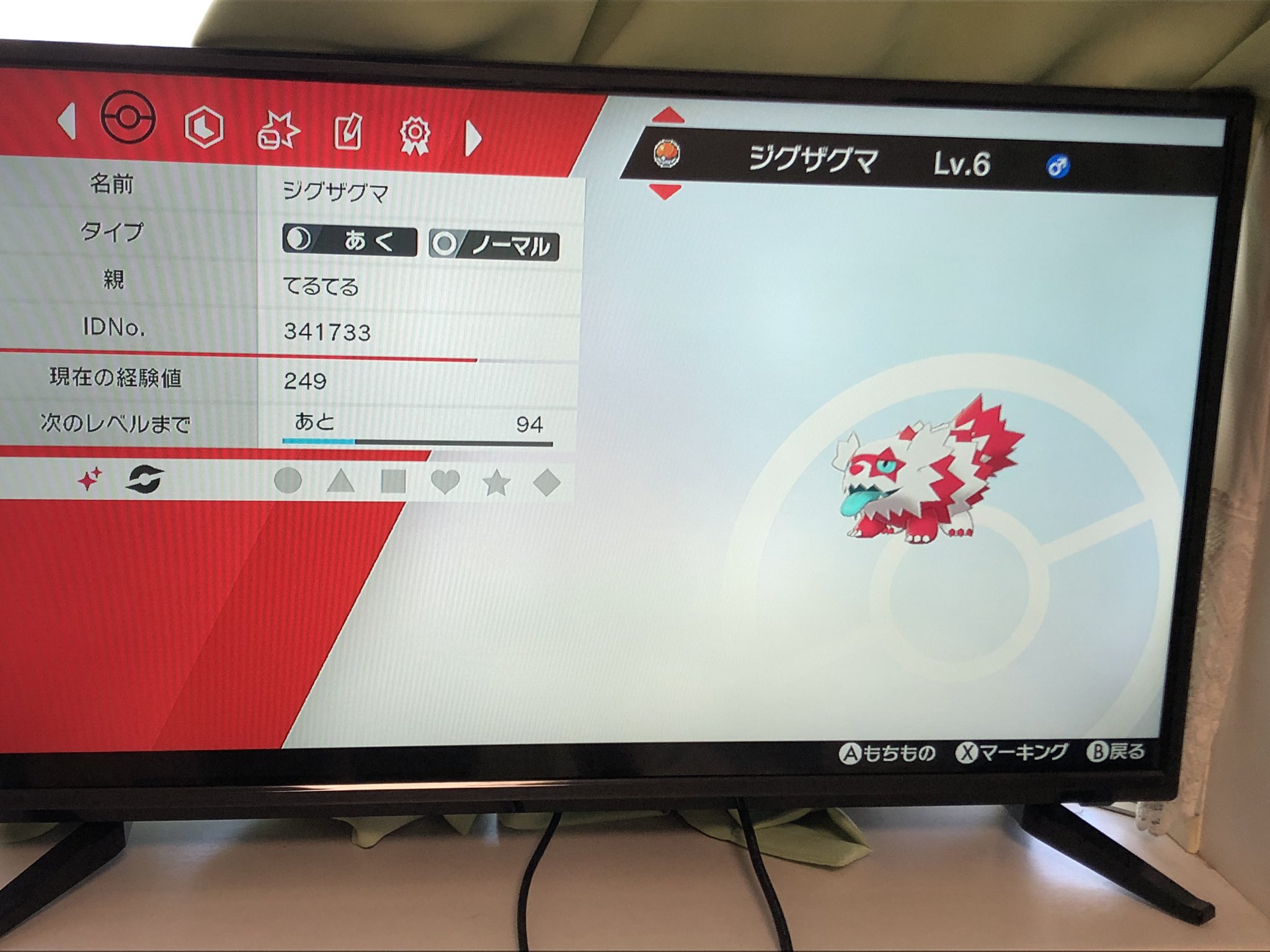 てるてるch Pa Twitter ヤバイ 剣盾開始１時間で色違いジグザグマに遭遇したwwwwww あれ ガラルジグザグマこんな色だっけ って最初戸惑ったらまさかの色違いwwww 最速でしょ ポケモン ソード 剣盾 色違い T Co Gij4rihg6u Twitter