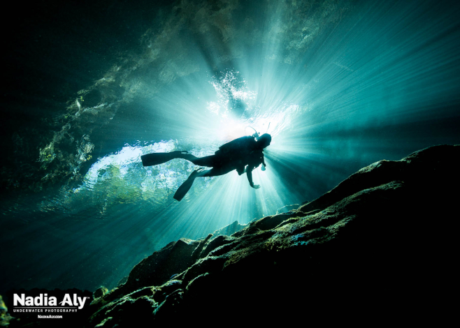 scubadiverlife's tweet photo. The Best #Scuba Diving in Mexico https://t.co/aVgxabo724 https://t.co/2Kh2dUdsKu