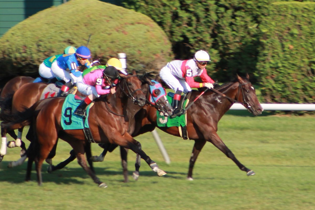 PhippsStableFan's tweet photo. PASSING OUT BACK IN ACTION
#PhippsStable & #StuartJanney's 3yo filly #PassingOut (OrbโParty Now) ending a 60-day layoff Friday in Aqu R2 ($80,000 AOC 1m turf, PP#9, jockey @jose93_ortiz, 12:28 pm ET). Won debut in Feb and an alw. in Aug. Finished 6th in Pebbles S. on 9/14 at Bel. https://t.co/862X4dUJYB