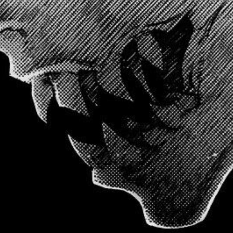 HylianMongrel's tweet image. ┊ ┊ ┊
┊ ┊
┊  
 ☪︎ 

ㅤ ㅤ ㅤ ㅤ ㅤ ㅤ ㅤ ㅤ ㅤ ㅤ ㅤ  ㅤ ㅤ ㅤ  ◥
〝 Dᴏɴ'ᴛ ᴄᴏᴍᴇ ɴᴇᴀʀ ᴍᴇ..

                      ..I'ᴍ ᴊᴜsᴛ ᴀ ᴍᴜᴛᴛ ᴀғᴛᴇʀᴀʟʟ. 〞
◣

                             ↺ &amp;amp; ♡