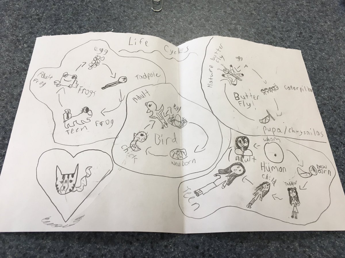 Today one of my students made me this awesome book during quiet time! Love that she loves this science unit 😊