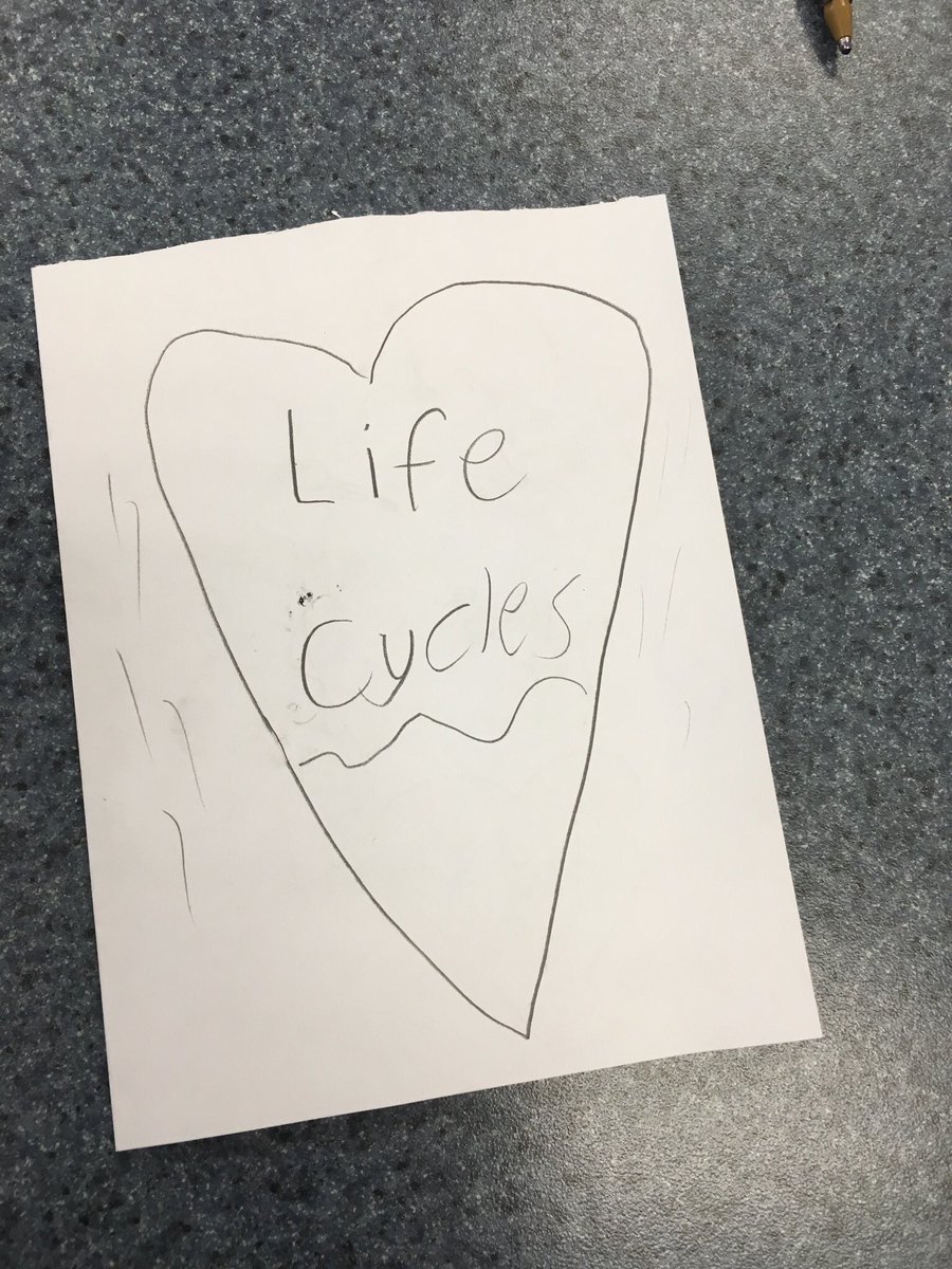 Rachel Stollar tweet media