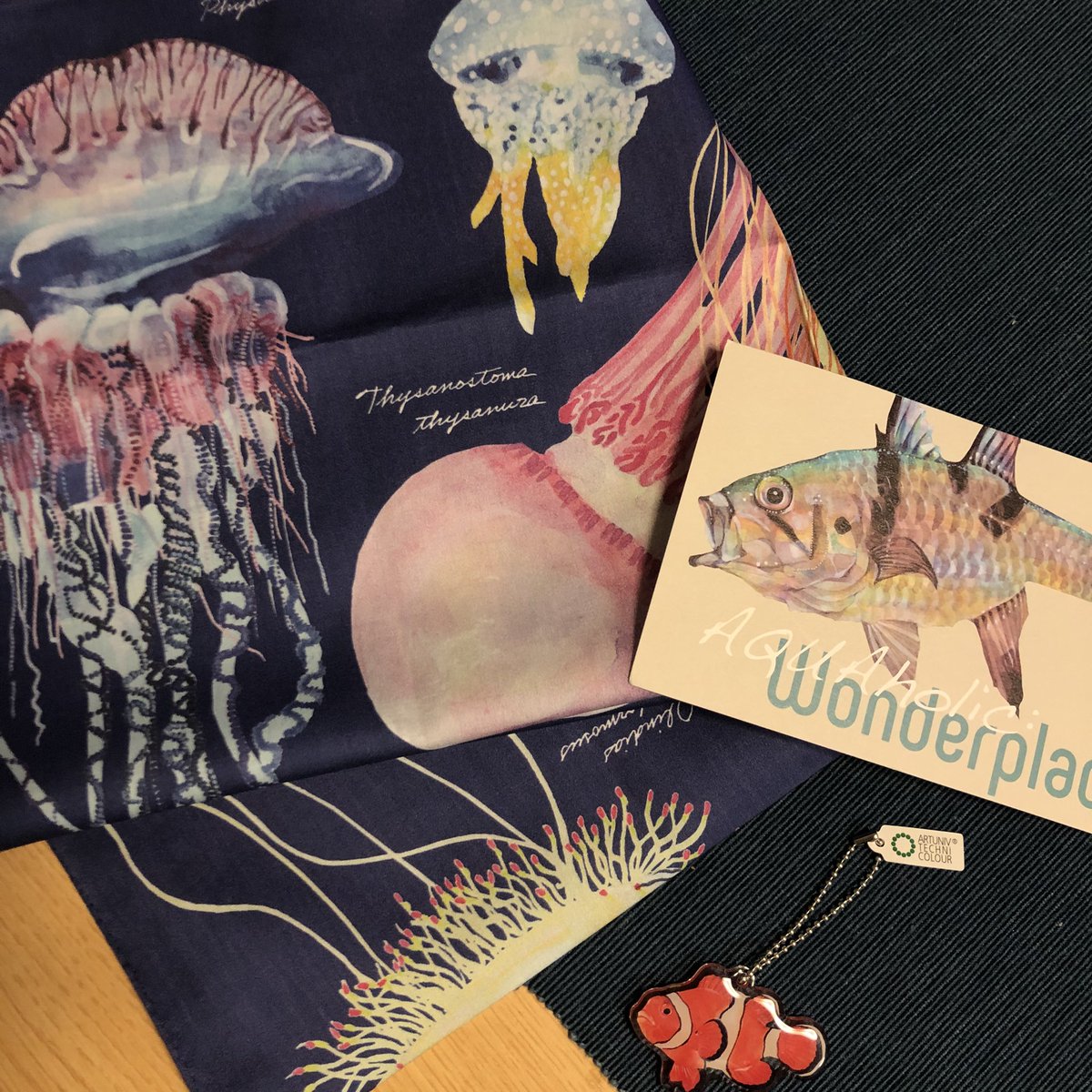 おやこkujira ザトウと泳いだ イラストはリベンジするとして クラゲのハンカチを購入いたしました 額に入れて飾りたい美しさ 次はハンカチもアオリイカ頑張ります 長嶋佑成 Gallery1 おやこkujira ザトウと泳いだ イラストはリベンジするとして クラゲのハンカチを購入いたしました 額に入れて飾りたい美しさ 次はハンカチもアオリイカ頑張ります 長嶋佑成 Gallery1
