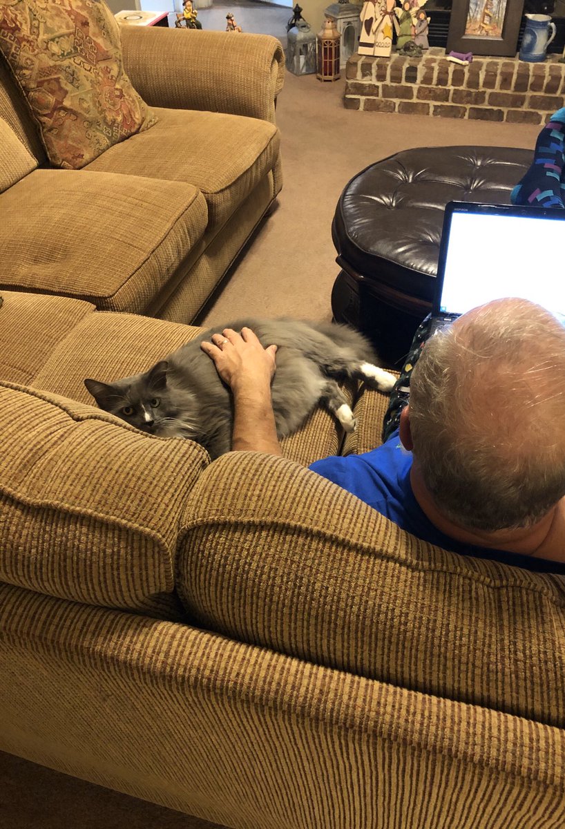 Keep_CalmKariOn's tweet photo. Update: there’s no denying he loves this cat https://t.co/QZHVQsD5PO