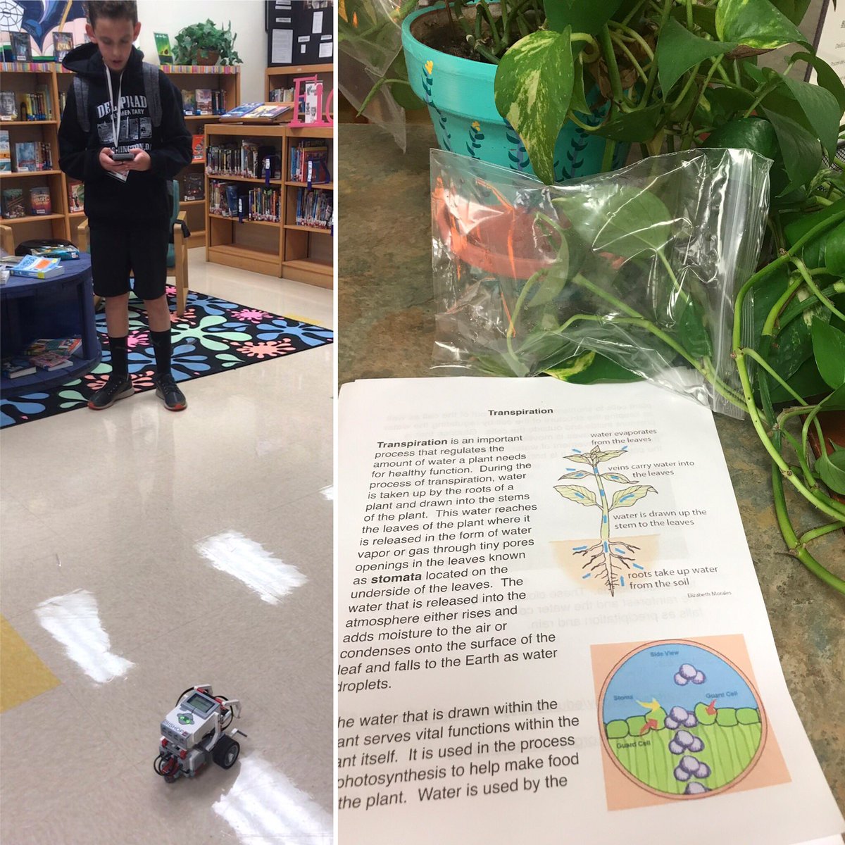 Cobras had fun learning about topography, convection, plasma globes, robotics, &amp; transpiration at this year's <a href="/BocaRatonMiddle/">Boca Raton Middle</a> Science Fair! Thanks for the projects, @Stephen092715 <a href="/MrSwalesBRCMS/">John Swales</a> <a href="/Santolin_BRCMS/">Rebecca Santolin</a> !#CobraScience 
<a href="/CobraAP_Greene/">Emily Greene</a> @BRCMS_Principal