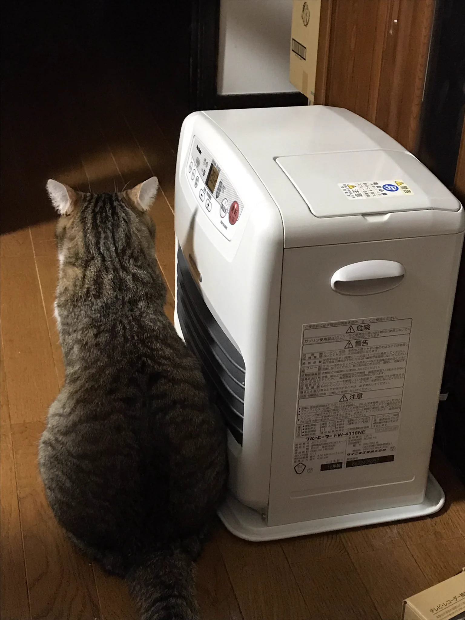 @Pg45FAVaoi6lRid 我が家はもっと大胆です。 