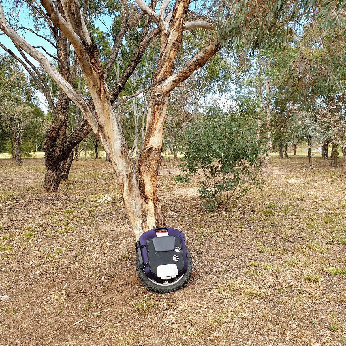 S_Bartfast's tweet photo. Just broke 5000 km on this bad boy: https://t.co/HzGr0qHHnz