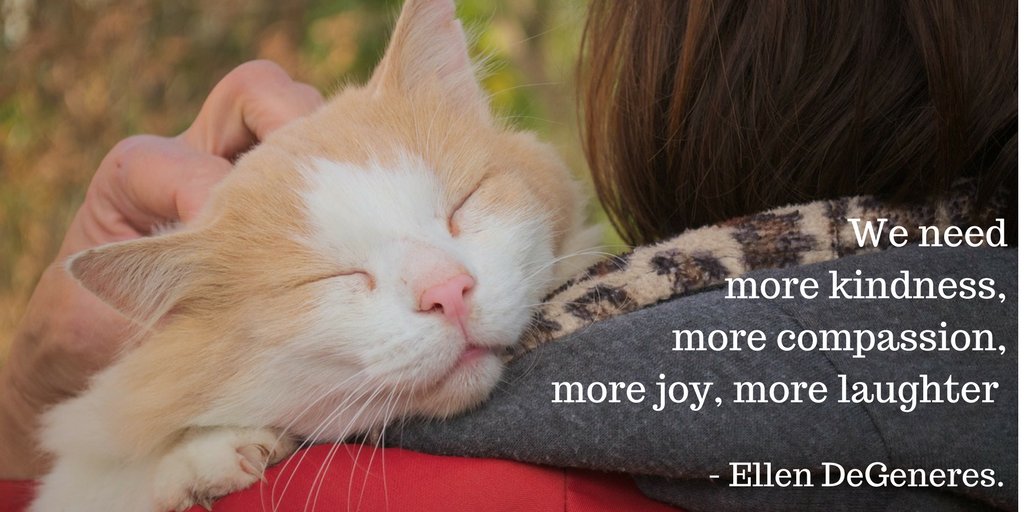 #Cats remind us every day to focus on the simple things that make us better people, don't you think?