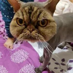 サマーカットに失敗した結果？すごいことになってる!