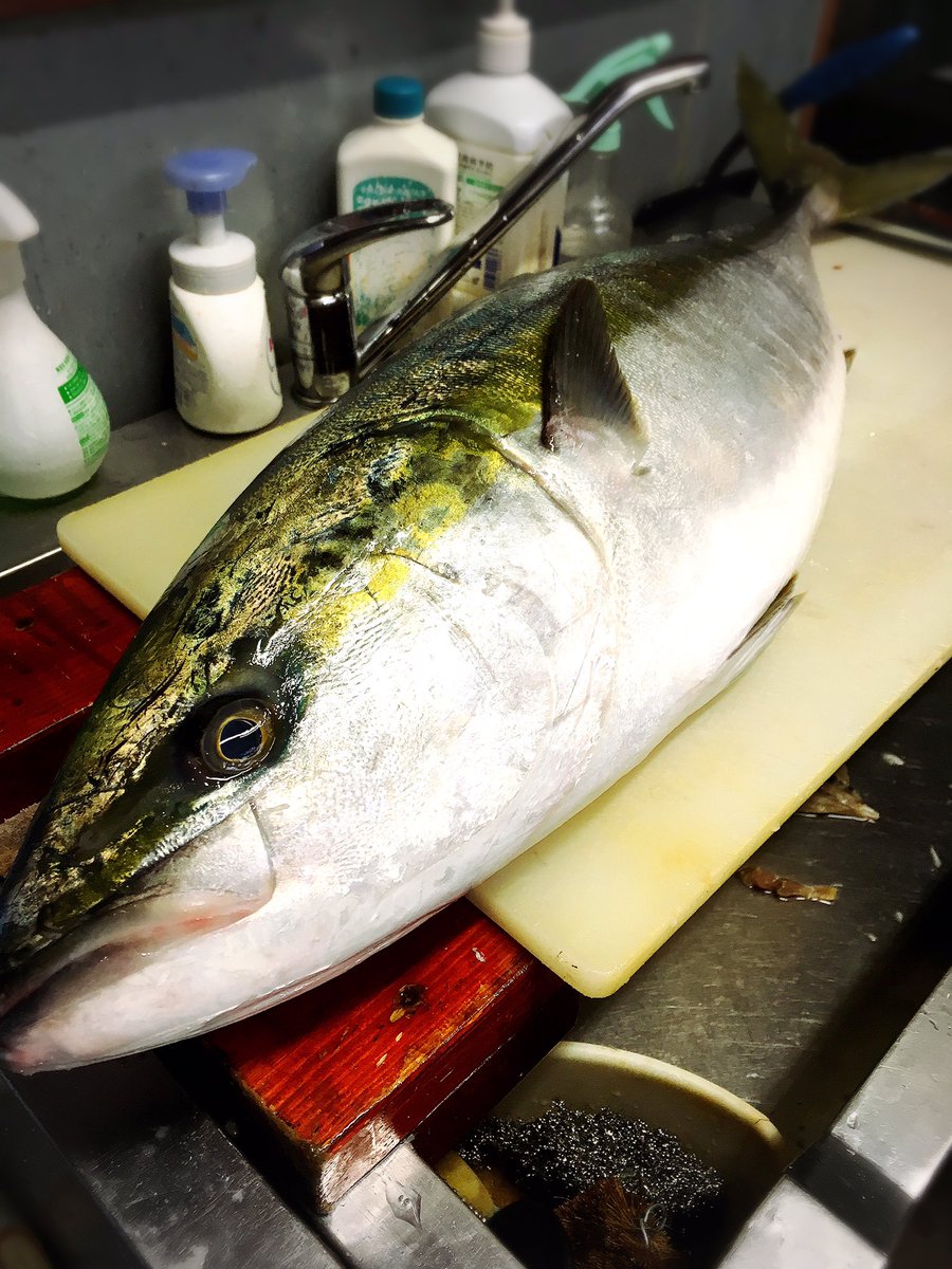 海鮮居酒屋 豊しん على تويتر 今日のランチは 天然ブリ刺身 サンマの塩焼き サワラ炙り ブリとサーモンの二色丼などなど 夜はブリしゃぶ鍋 石狩鍋 ワタリガニのチゲ鍋あります ご予約の上ご来店ください 海鮮居酒屋 豊しん على تويتر 今日のランチは 天然ブリ刺身 サンマの塩焼き サワラ炙り ブリとサーモンの二色丼などなど 夜はブリしゃぶ鍋 石狩鍋 ワタリガニのチゲ鍋あります ご予約の上ご来店ください