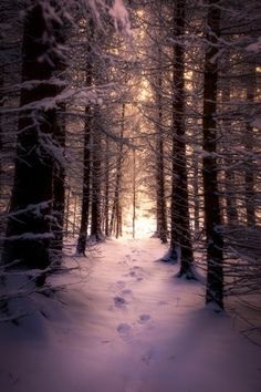Remember that the world is beautiful, and our place in it is worth fighting for. I love you all.