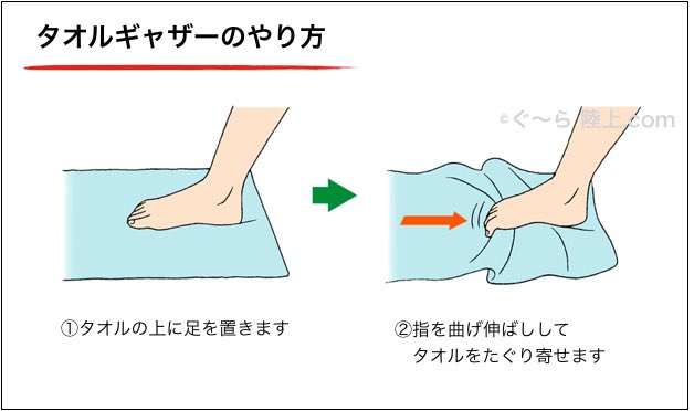 ユッキー Cv 茶 林 No Twitter ちなみに足指の筋肉を使う運動はタオルギャザーが簡単でオススメだよ これからの時期 寒くて水分摂ら なくなると攣りやすくなるからそれだけ気をつけなよ T Co 4rsun3cu Twitter