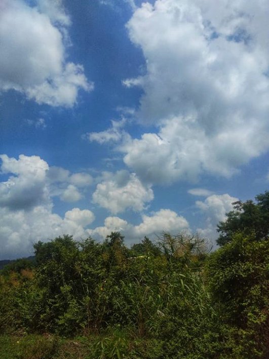 RitikaShedge's tweet photo. Her heart is in knots over the sky.. ❤⛅#clouds #cloud #cloudporn #weather #lookup #sky #skyporn #crazysky #instacloud #instaclouds #instagood #nature #beautiful #gloomy #skyline #horizon #overcast #instasky #epicsky #crazyclouds #photooftheday #cloudskye #skyback #skylover https://t.co/qxlOCMvWwb