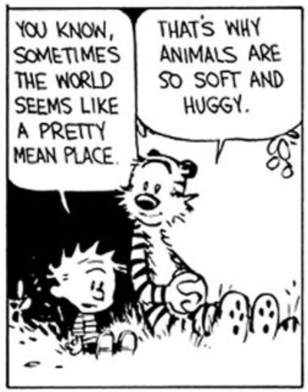 This ones dedicated for anyone whose had a rough day/week/month/year. Keep on pushing forward, life can get tough so focus on the good things, like animal hugs 🤗.