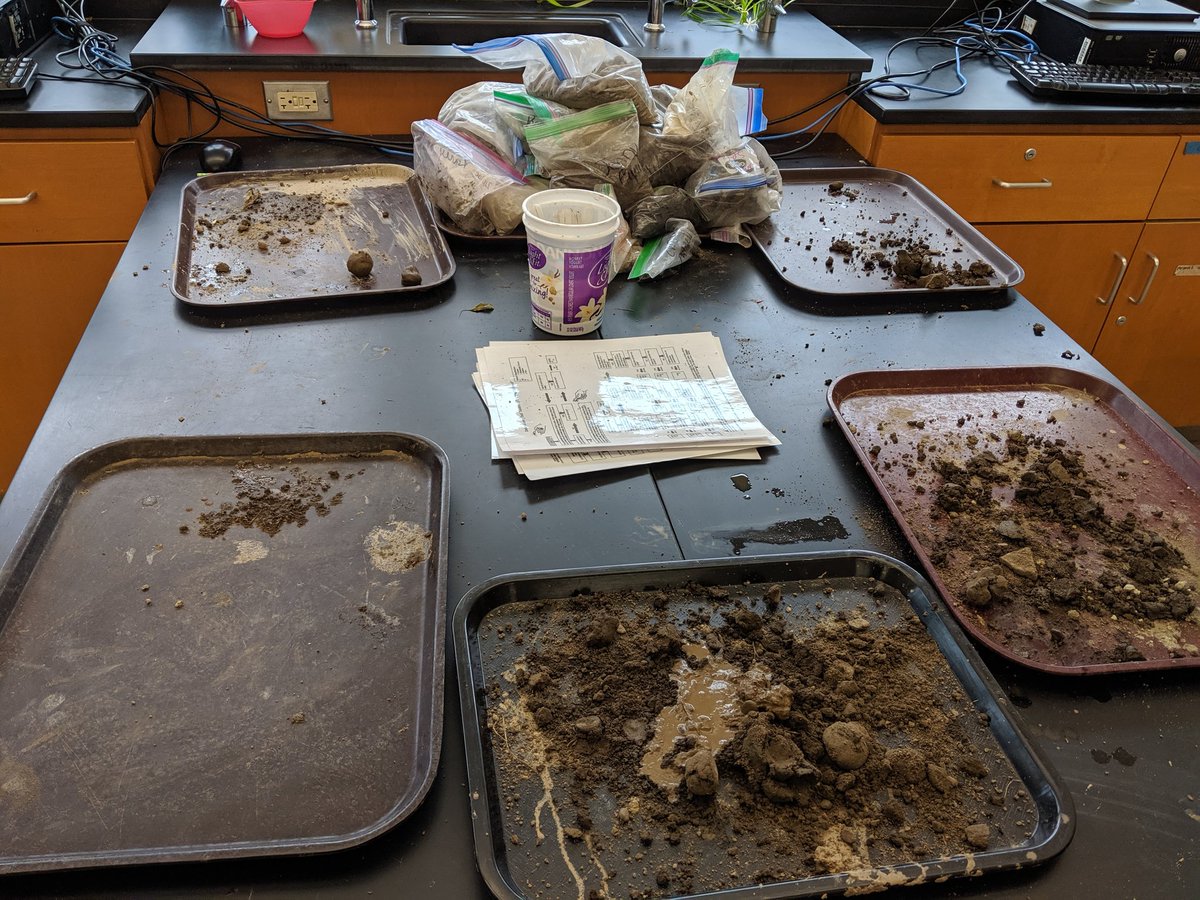 Sarabeth Alderfer tweet media