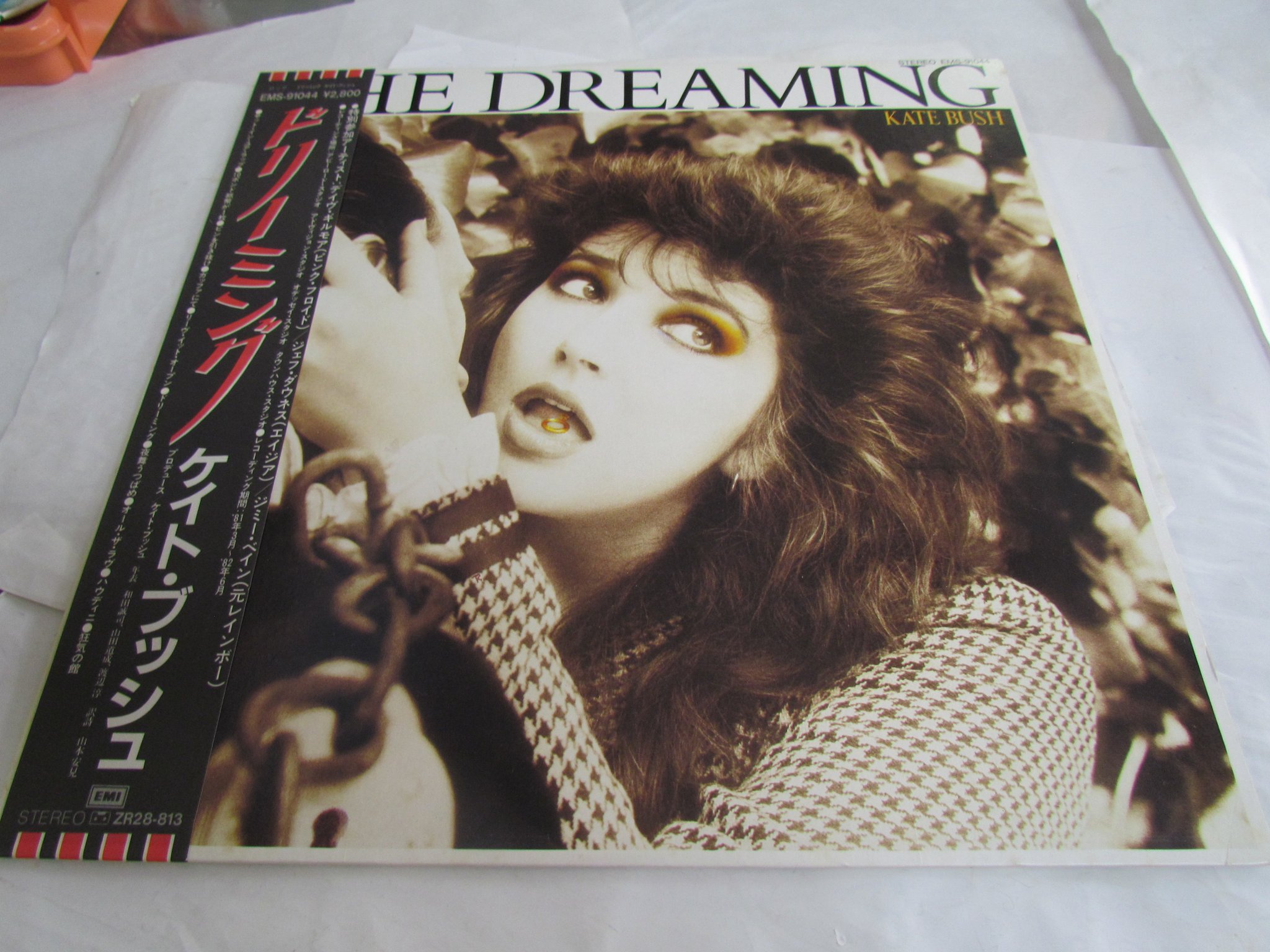 めぐみ書店 Lp Ems ドリーミング ケイト ブッシュ Kate Bush デイヴ ギルモア ジェフ ダウネス ジミー ベイン 東芝emi めぐみ書店 門真市 古川橋 T Co Z2vujsjwjy T Co F2at7djuam めぐみ書店 Lp Ems ドリーミング ケイト ブッシュ Kate Bush デイヴ ギルモア ジェフ ダウネス ジミー ベイン 東芝emi めぐみ書店 門真市 古川橋 T Co Z2vujsjwjy T Co F2at7djuam