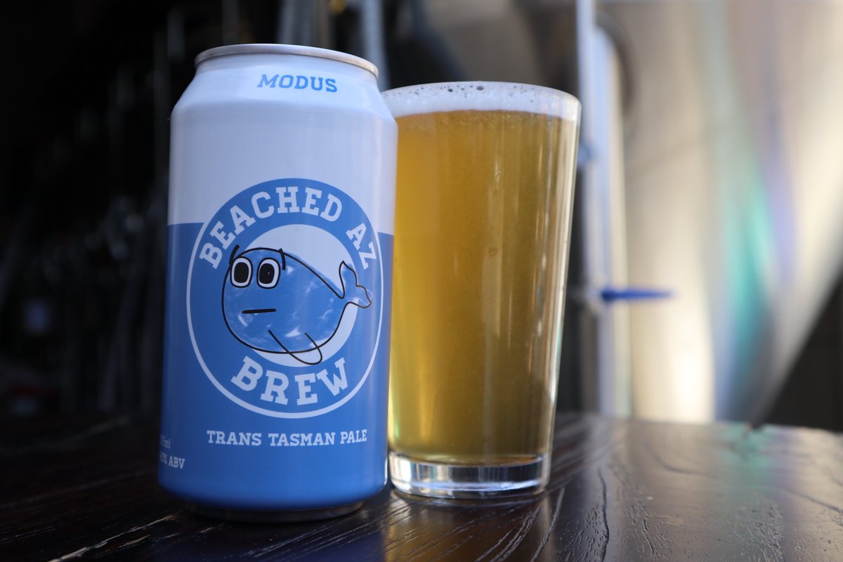 Modus Brewing tweet media