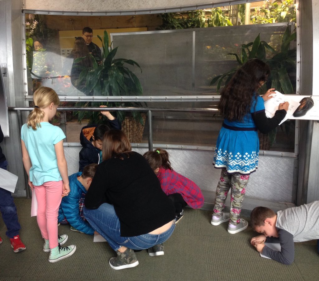 amiesflowers's tweet photo. Ms.Alcorn & Ms. Rubilotta. @MPSArlington Lower El students think about rhythm & timbre while visiting @NMNH #insectzoo. Thank you @GW Museum Ed's Ms. Liz for curating this fun & educational experience @MPSArlington @APSArts https://t.co/3pkW7DeixM