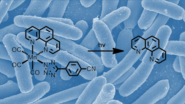 Matt's paper on the photochemistry on Mn tetrazolato complexes is now online, onlinelibrary.wiley.com/doi/abs/10.100…. Collaboration between <a href="/CurtinChem/">Curtin Chemistry</a> and <a href="/StStagni/">stefano stagni</a>